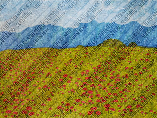 A rainy field of poppies.