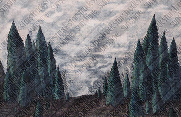 A foggy pine forest.